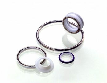 PTFE الختم، الربيع منشط تفلون ختم، تفلون الروتاري الختم، PTFE ثابت ختم